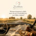 Zeitblüte - Erinnerungsbrücke Tag 15
