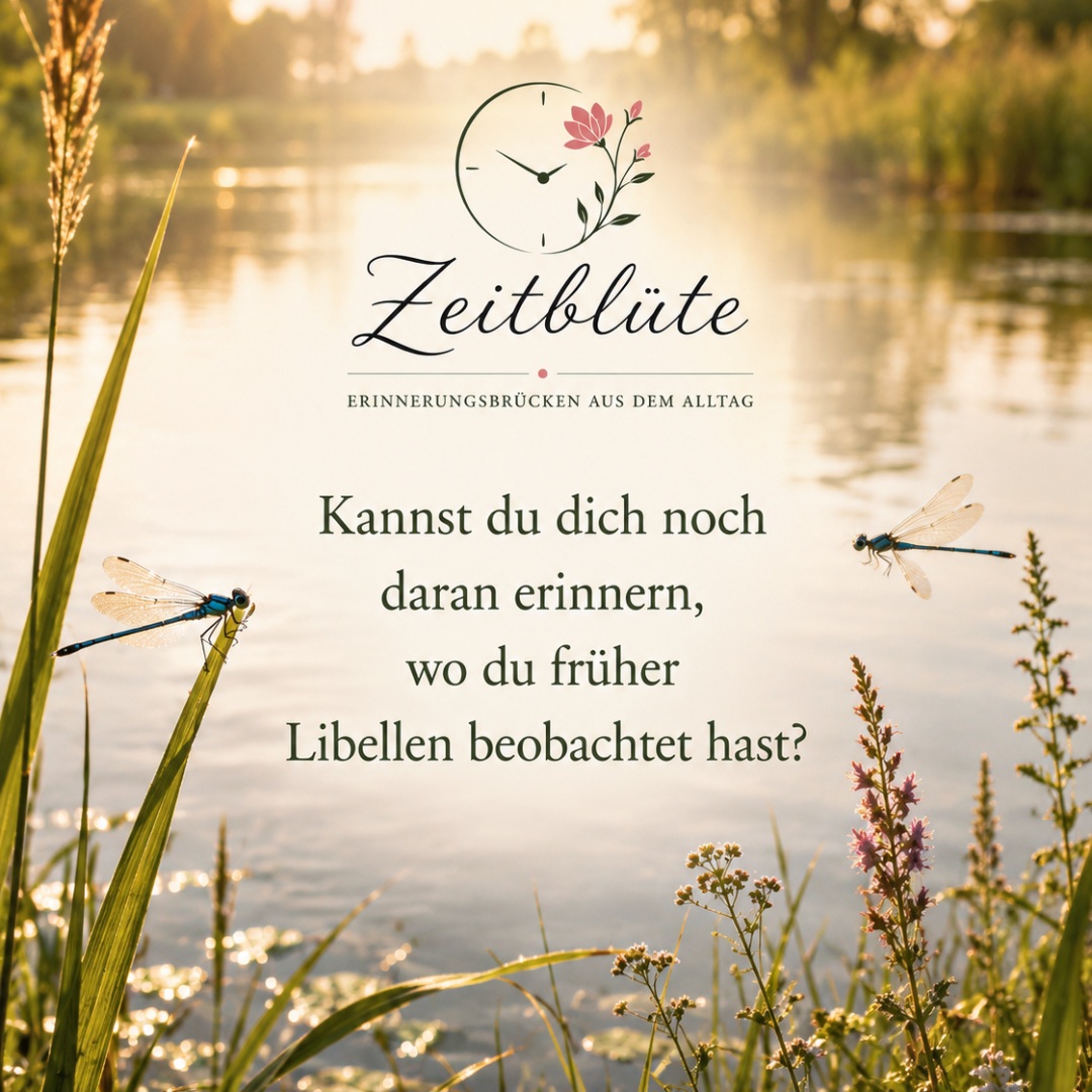 Zeitblüte - Erinnerungsbrücke 40 von 365